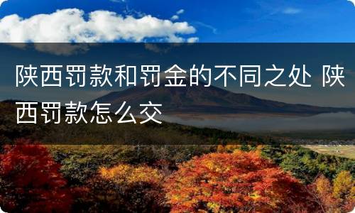 陕西罚款和罚金的不同之处 陕西罚款怎么交