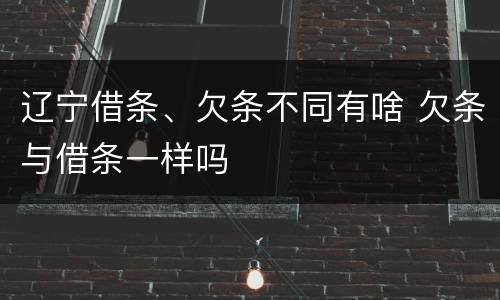 辽宁借条、欠条不同有啥 欠条与借条一样吗