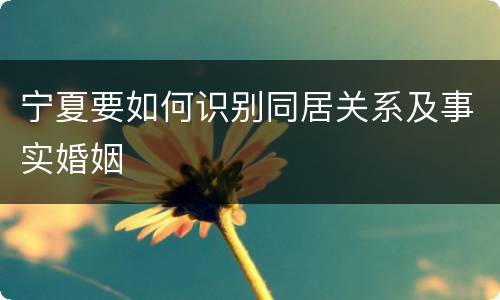 宁夏要如何识别同居关系及事实婚姻