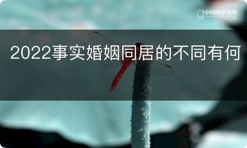 2022事实婚姻同居的不同有何