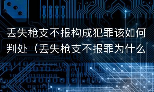 丢失枪支不报构成犯罪该如何判处（丢失枪支不报罪为什么是结果犯）
