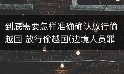 到底需要怎样准确确认放行偷越国 放行偷越国(边境人员罪