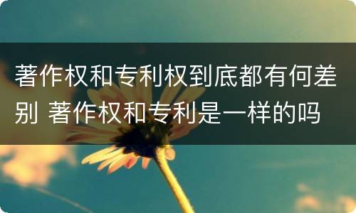 著作权和专利权到底都有何差别 著作权和专利是一样的吗