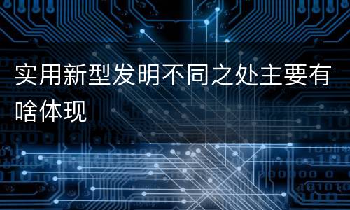 实用新型发明不同之处主要有啥体现