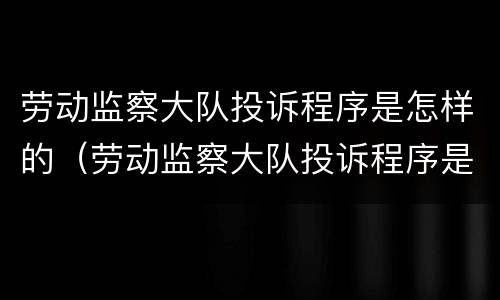 劳动监察大队投诉程序是怎样的（劳动监察大队投诉程序是怎样的呀）