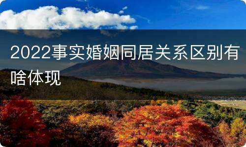 2022事实婚姻同居关系区别有啥体现