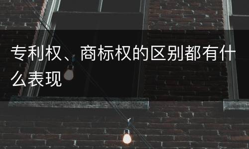 专利权、商标权的区别都有什么表现