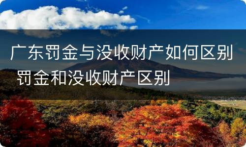 广东罚金与没收财产如何区别 罚金和没收财产区别