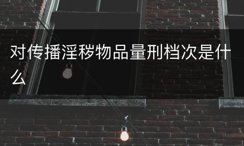 对传播淫秽物品量刑档次是什么