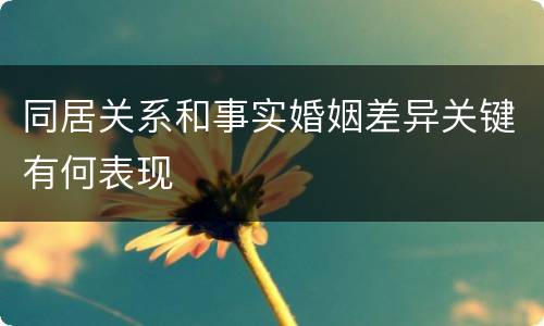 同居关系和事实婚姻差异关键有何表现
