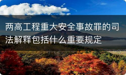 两高工程重大安全事故罪的司法解释包括什么重要规定