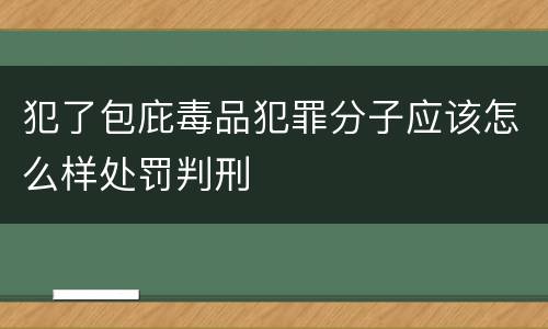 犯了包庇毒品犯罪分子应该怎么样处罚判刑