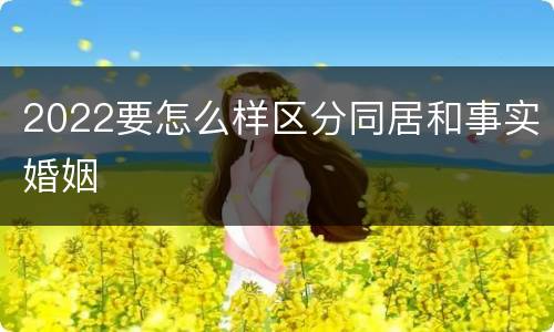 2022要怎么样区分同居和事实婚姻