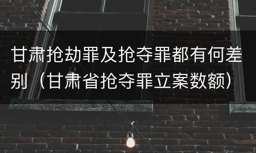 甘肃抢劫罪及抢夺罪都有何差别（甘肃省抢夺罪立案数额）