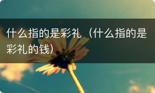 什么指的是彩礼（什么指的是彩礼的钱）