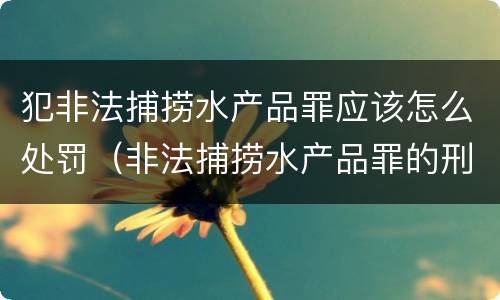 犯非法捕捞水产品罪应该怎么处罚（非法捕捞水产品罪的刑法处罚）