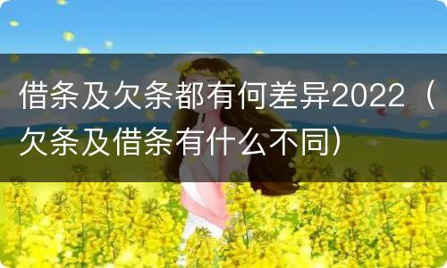 借条及欠条都有何差异2022（欠条及借条有什么不同）