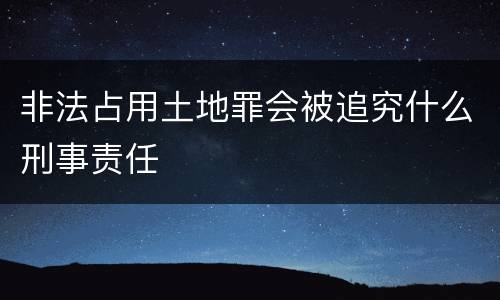 非法占用土地罪会被追究什么刑事责任