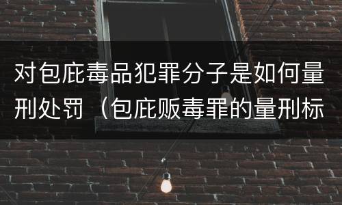 对包庇毒品犯罪分子是如何量刑处罚（包庇贩毒罪的量刑标准）