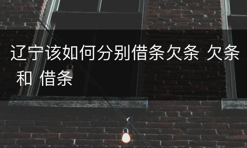 辽宁该如何分别借条欠条 欠条 和 借条
