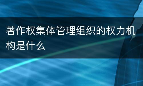 著作权集体管理组织的权力机构是什么