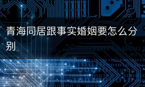 青海同居跟事实婚姻要怎么分别