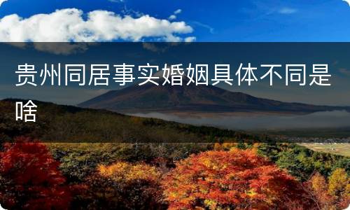 贵州同居事实婚姻具体不同是啥