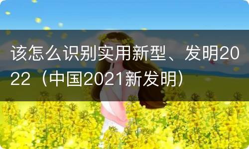 该怎么识别实用新型、发明2022（中国2021新发明）