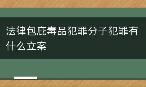 法律包庇毒品犯罪分子犯罪有什么立案