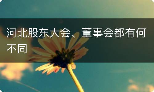 河北股东大会、董事会都有何不同