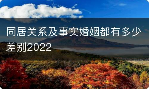同居关系及事实婚姻都有多少差别2022