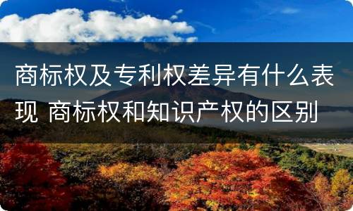 商标权及专利权差异有什么表现 商标权和知识产权的区别