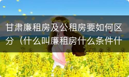 甘肃廉租房及公租房要如何区分（什么叫廉租房什么条件什么叫公租房）