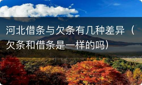 河北借条与欠条有几种差异（欠条和借条是一样的吗）