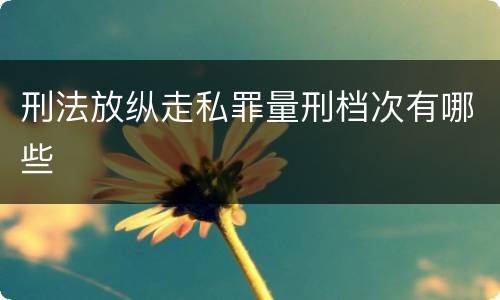 刑法放纵走私罪量刑档次有哪些
