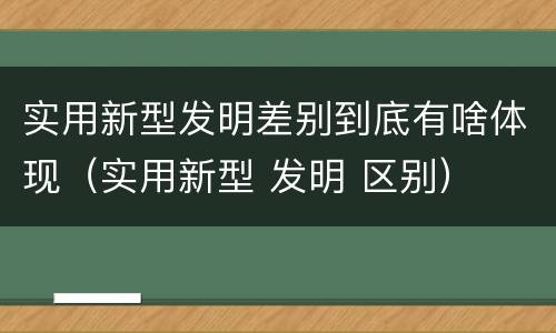实用新型发明差别到底有啥体现（实用新型 发明 区别）