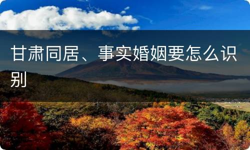 甘肃同居、事实婚姻要怎么识别
