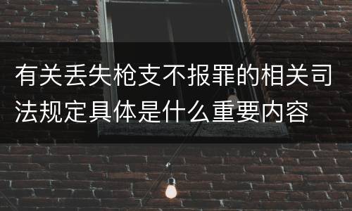 有关丢失枪支不报罪的相关司法规定具体是什么重要内容