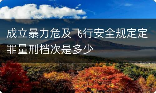 成立暴力危及飞行安全规定定罪量刑档次是多少