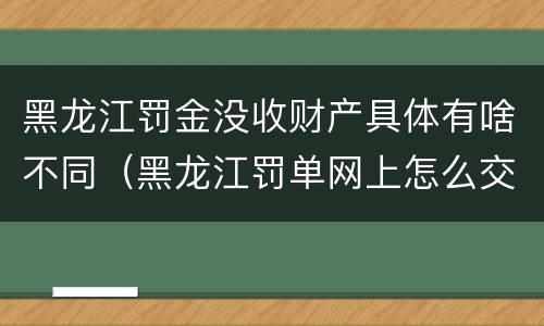 黑龙江罚金没收财产具体有啥不同（黑龙江罚单网上怎么交）
