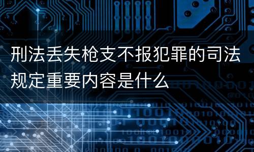 刑法丢失枪支不报犯罪的司法规定重要内容是什么