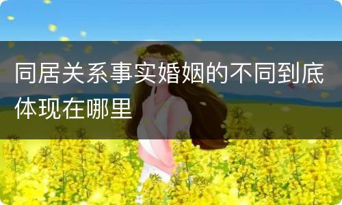 同居关系事实婚姻的不同到底体现在哪里