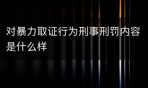 对暴力取证行为刑事刑罚内容是什么样