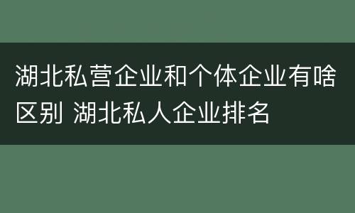 湖北私营企业和个体企业有啥区别 湖北私人企业排名