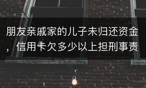 朋友亲戚家的儿子未归还资金，信用卡欠多少以上担刑事责任