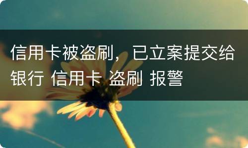 信用卡被盗刷，已立案提交给银行 信用卡 盗刷 报警