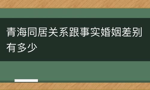 青海同居关系跟事实婚姻差别有多少