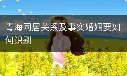 青海同居关系及事实婚姻要如何识别