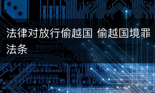 法律对放行偷越国 偷越国境罪法条