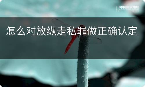 怎么对放纵走私罪做正确认定